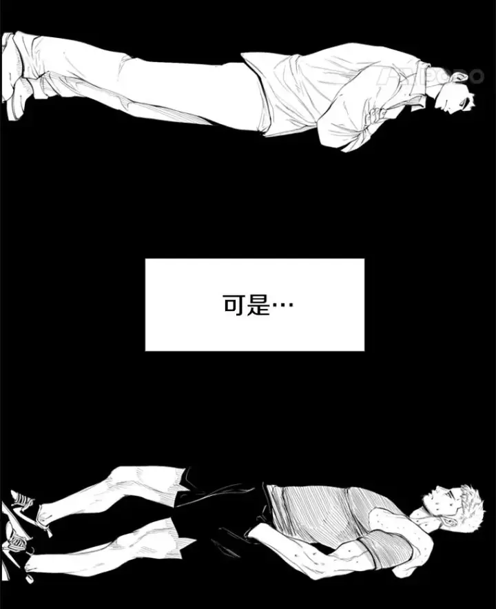 《鲨鱼》182.1对7图104