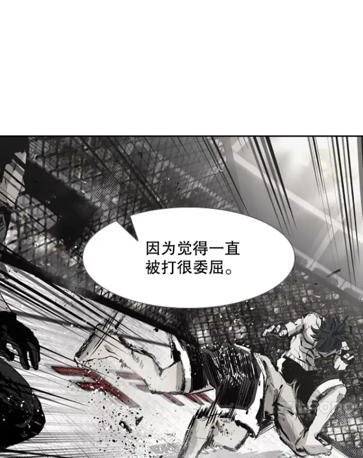 《鲨鱼》184.8强直播图31
