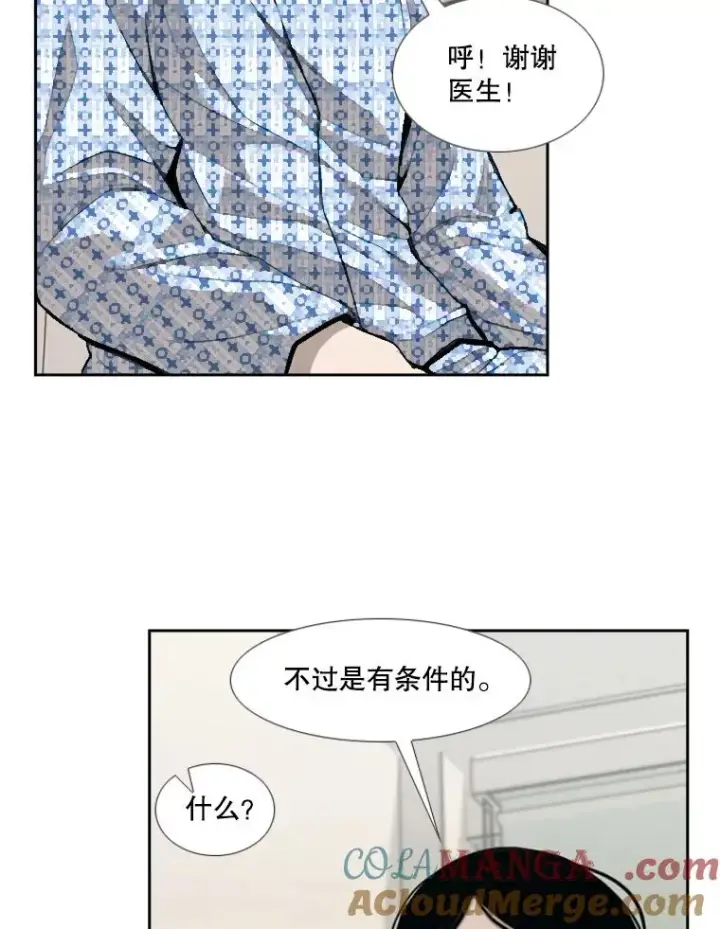 《鲨鱼》185.出院图9