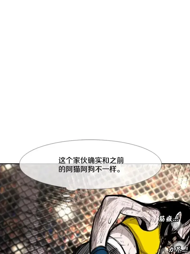 《鲨鱼》190.违背承诺的比赛图50