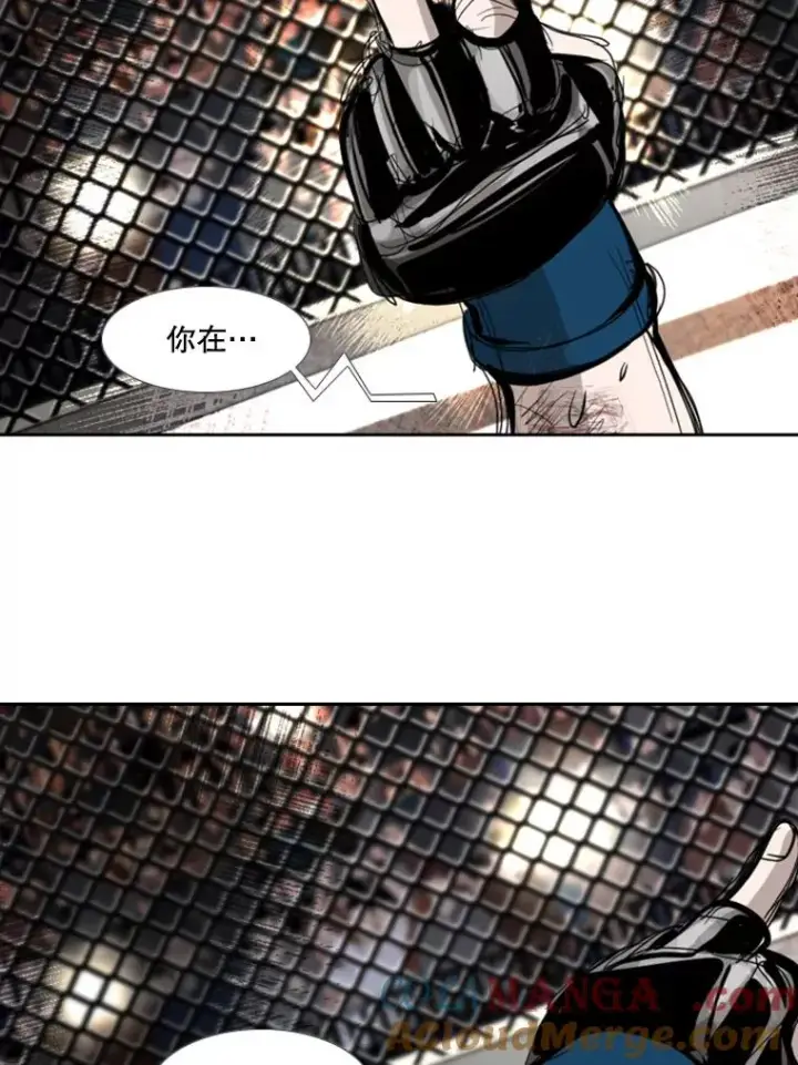 《鲨鱼》190.违背承诺的比赛图81