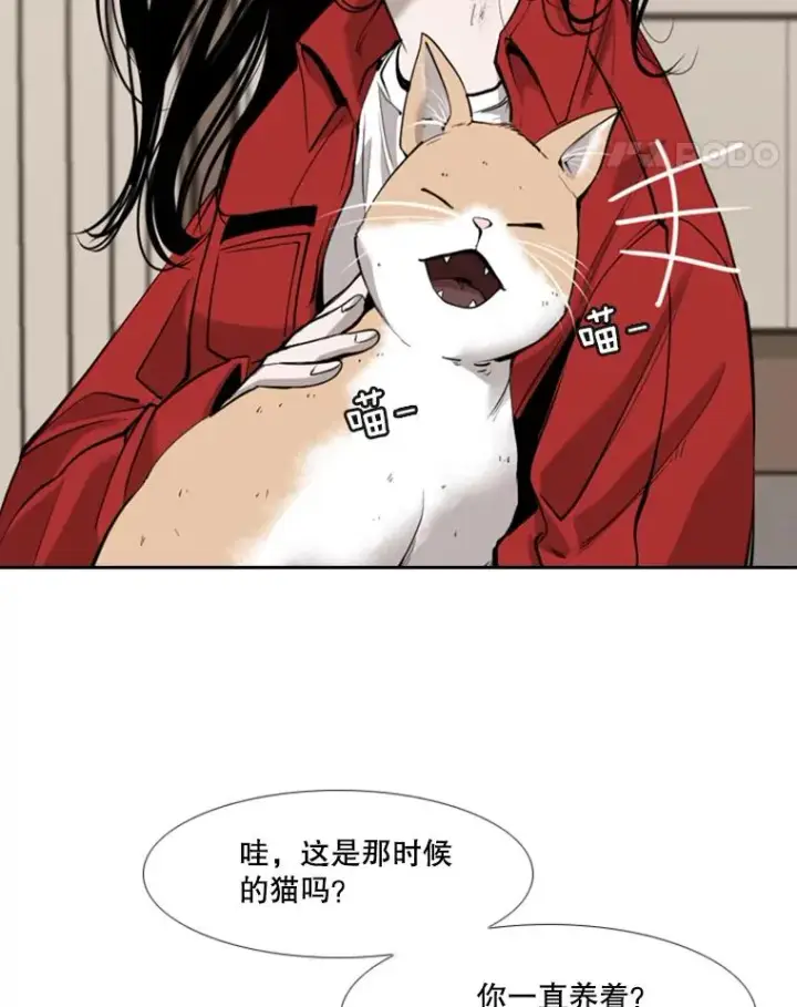 《鲨鱼》191.弃赛图78