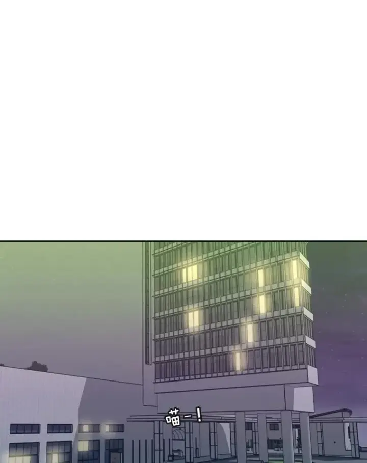 《鲨鱼》191.弃赛图94