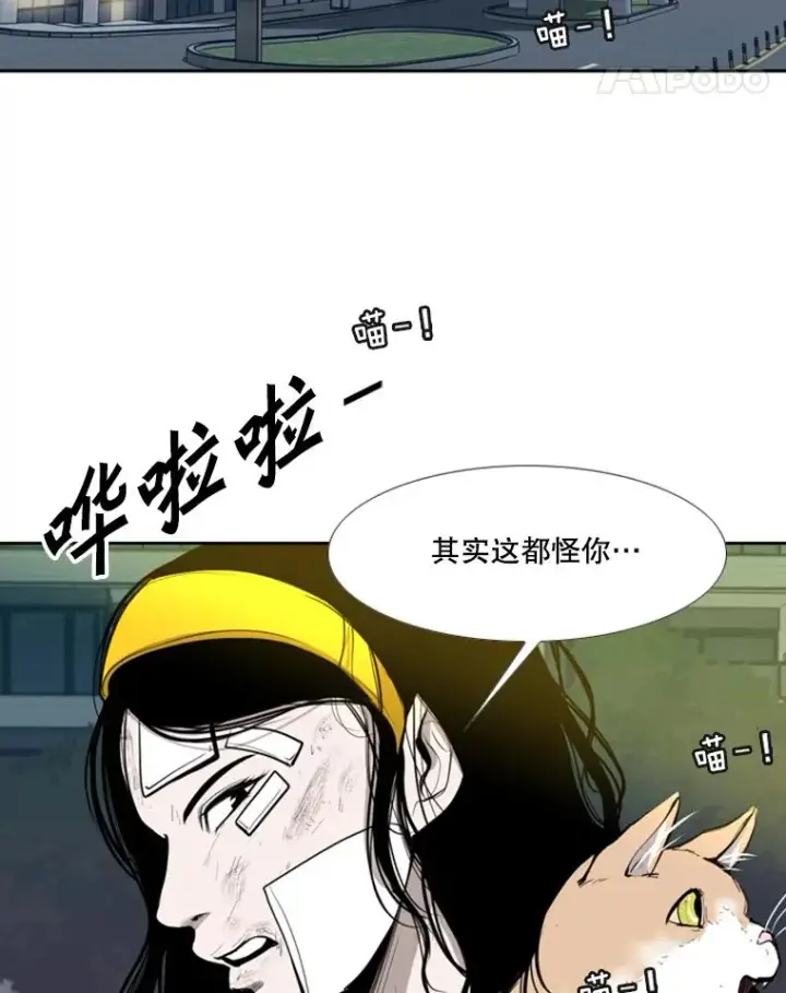 《鲨鱼》191.弃赛图95