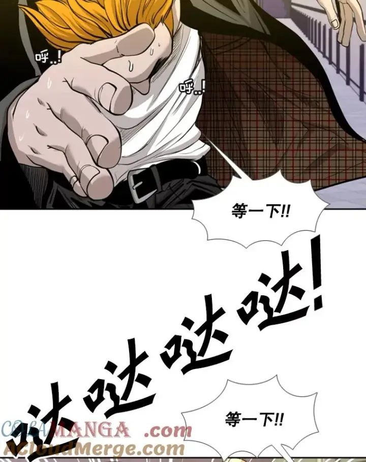 《鲨鱼》191.弃赛图97