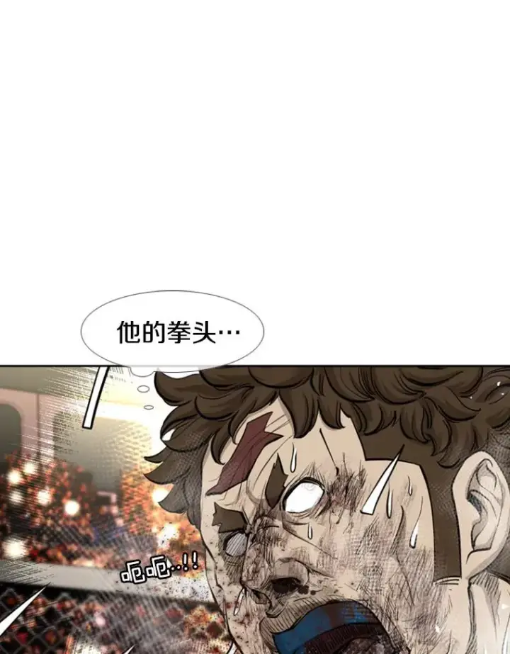 《鲨鱼》197.真正的胜利图16