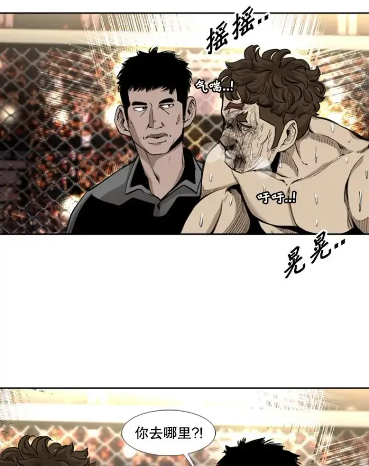 《鲨鱼》197.真正的胜利图40