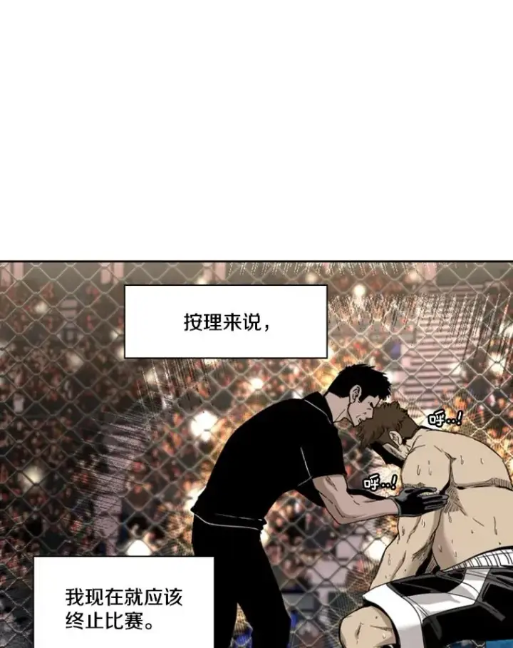 《鲨鱼》197.真正的胜利图44