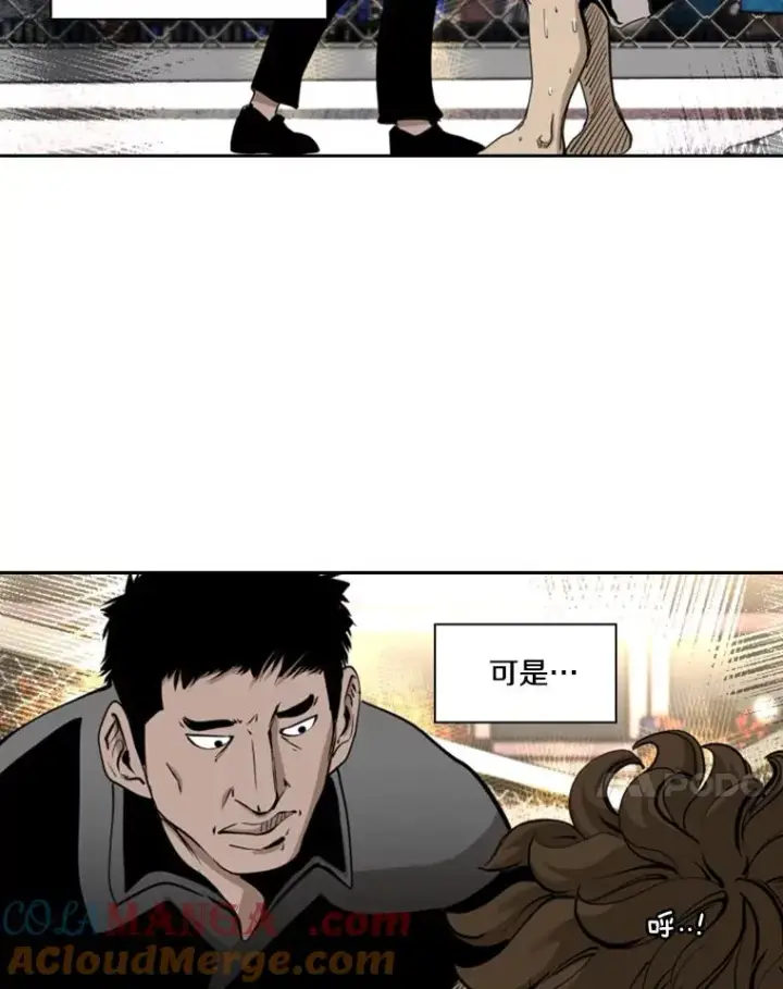 《鲨鱼》197.真正的胜利图45