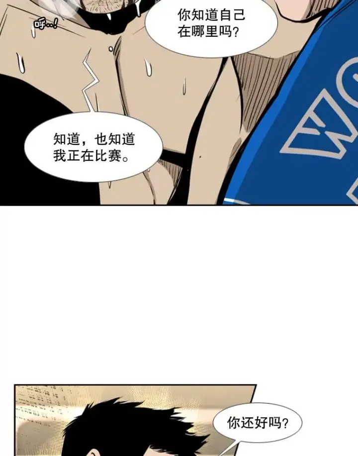 《鲨鱼》197.真正的胜利图51