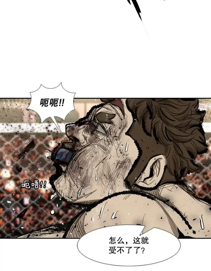 《鲨鱼》197.真正的胜利图76