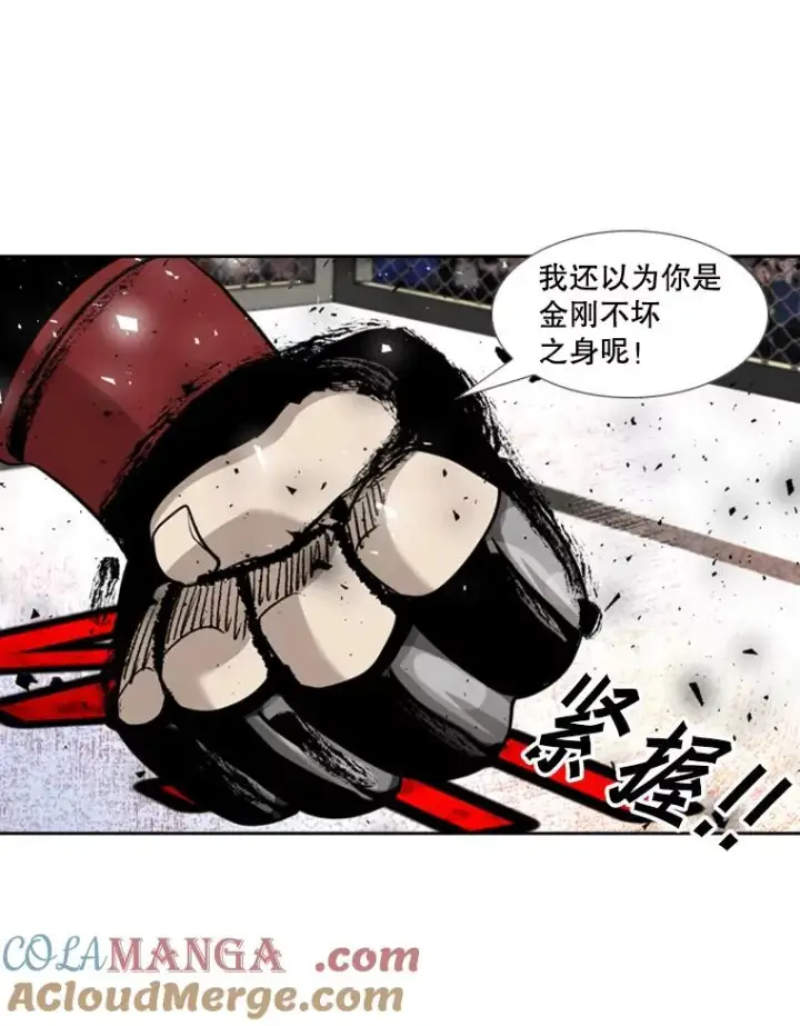 《鲨鱼》197.真正的胜利图77