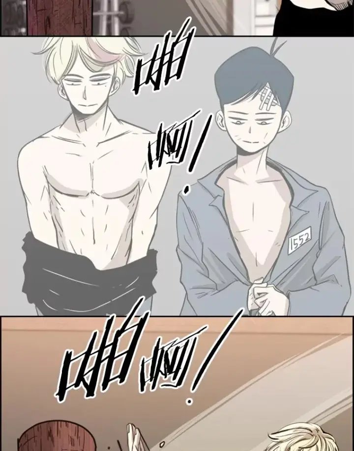 《鲨鱼》200.恭喜你破壳而出图102