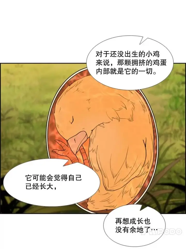 《鲨鱼》200.恭喜你破壳而出图31