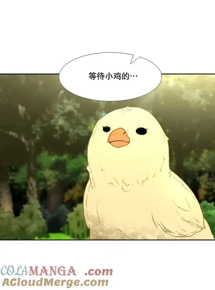 《鲨鱼》200.恭喜你破壳而出图33