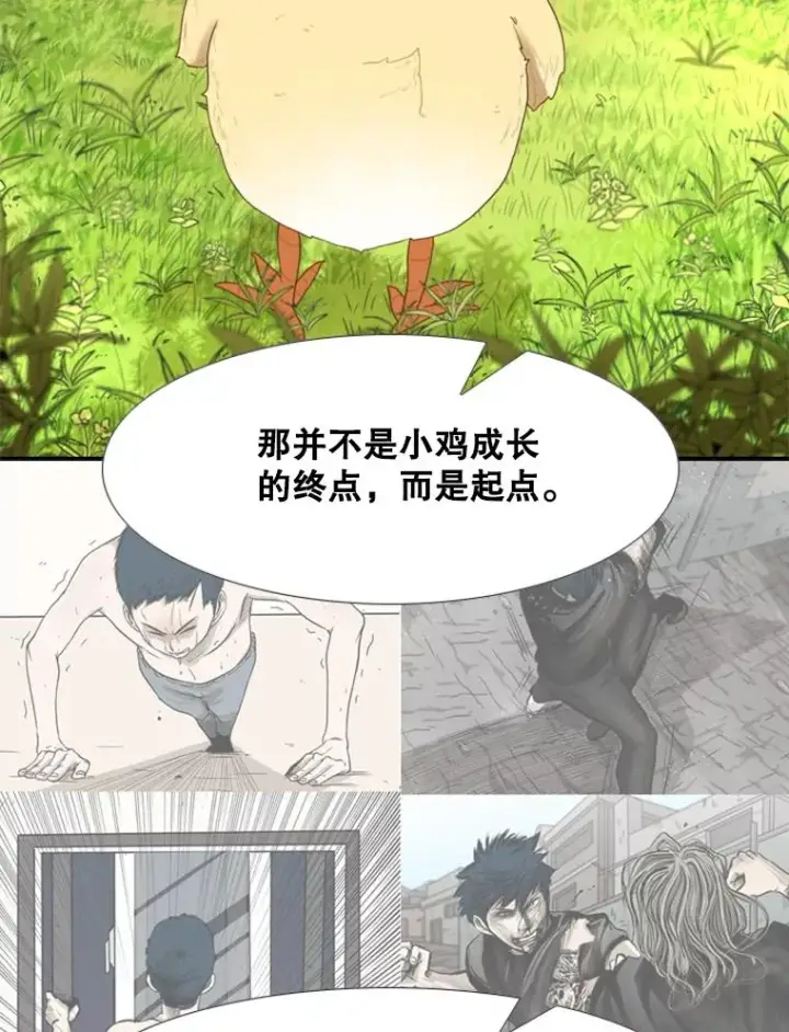 《鲨鱼》200.恭喜你破壳而出图36