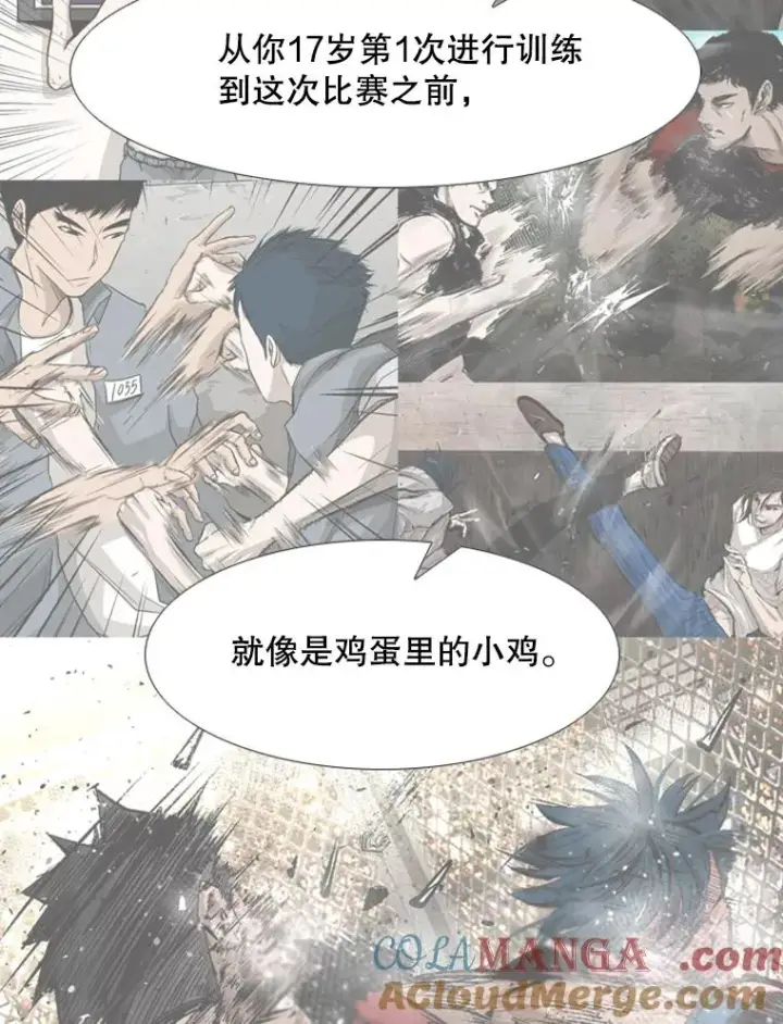 《鲨鱼》200.恭喜你破壳而出图37