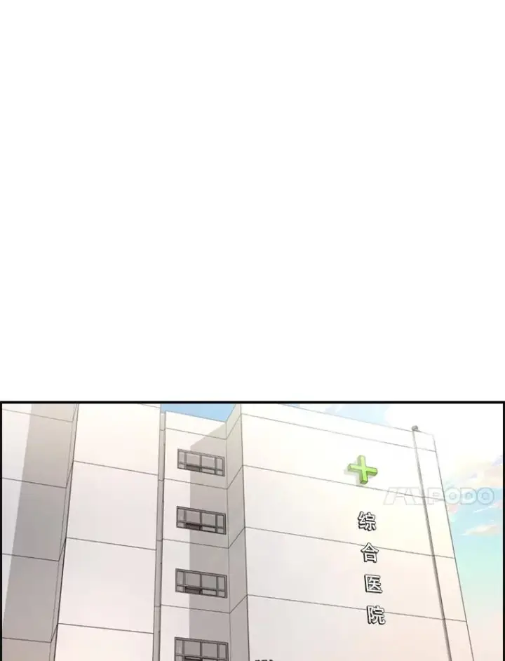 《鲨鱼》200.恭喜你破壳而出图84