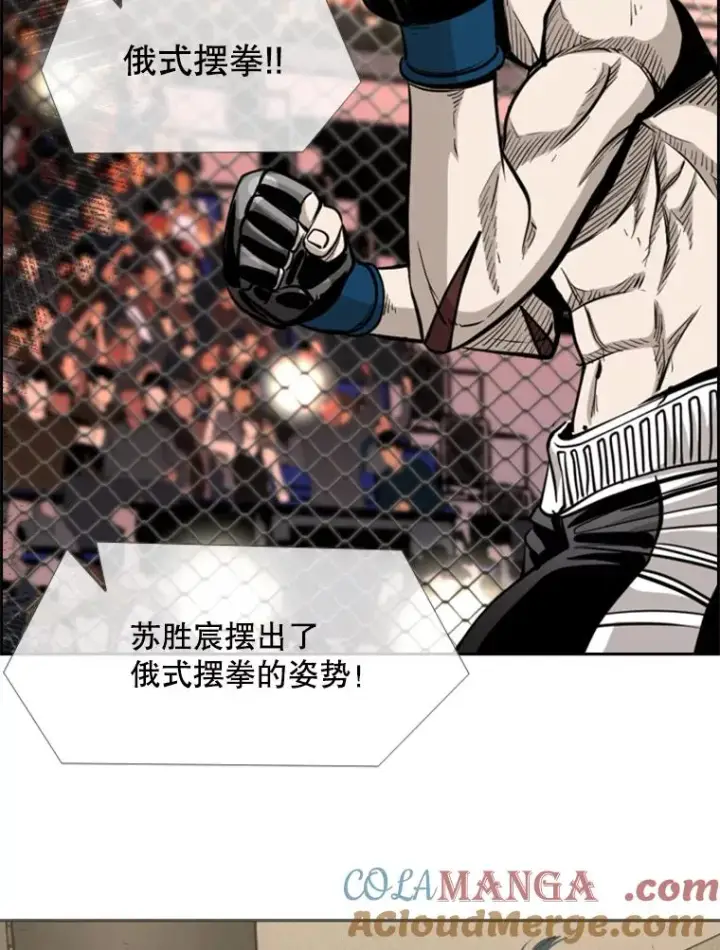 《鲨鱼》202.莫名的熟悉感图93