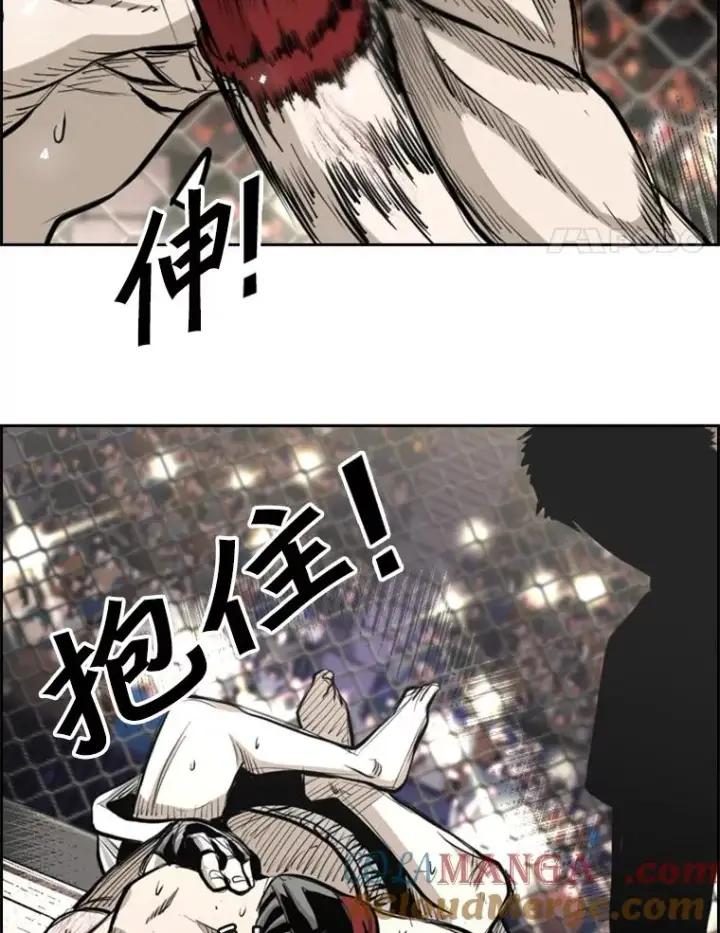 《鲨鱼》203.遇强则强图45