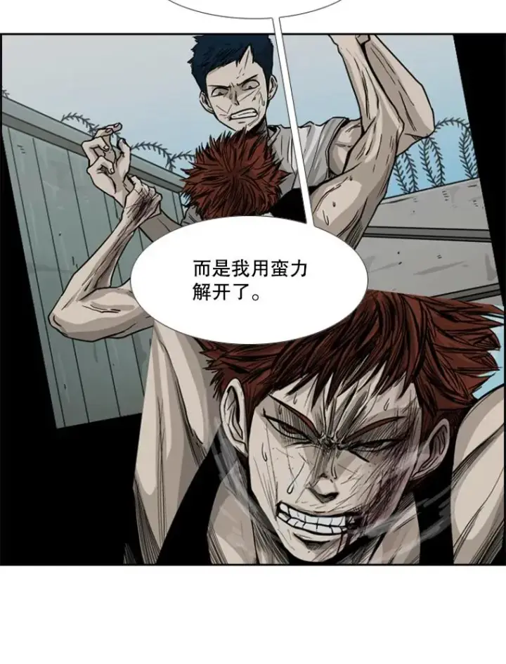 《鲨鱼》211.这只是前哨战图59