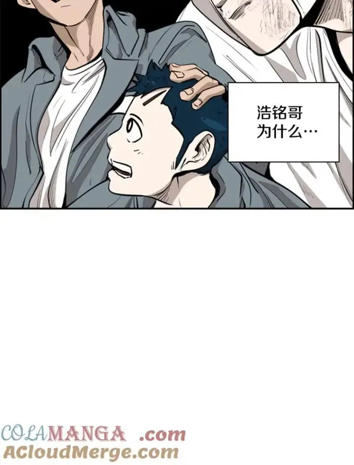 《鲨鱼》211.这只是前哨战图65