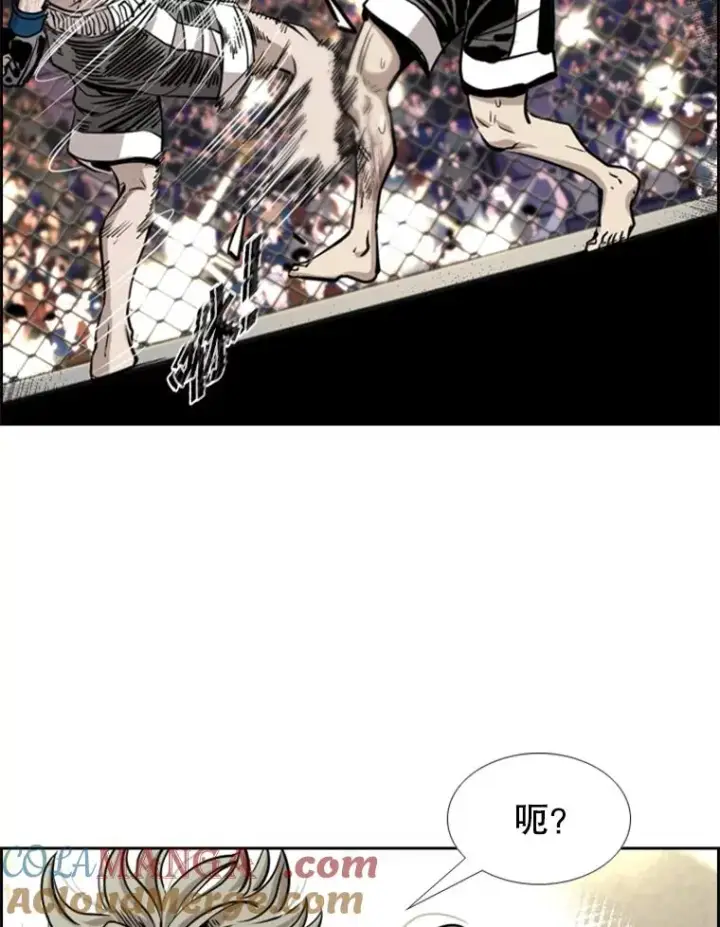 《鲨鱼》213.回礼图33