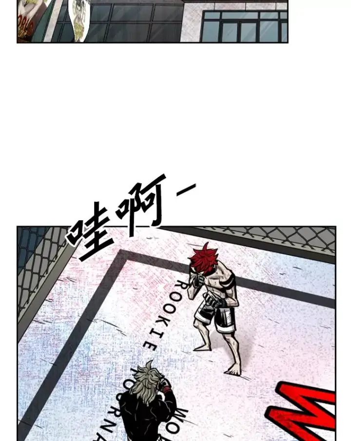 《鲨鱼》215.我是郑浩铭的徒弟图11