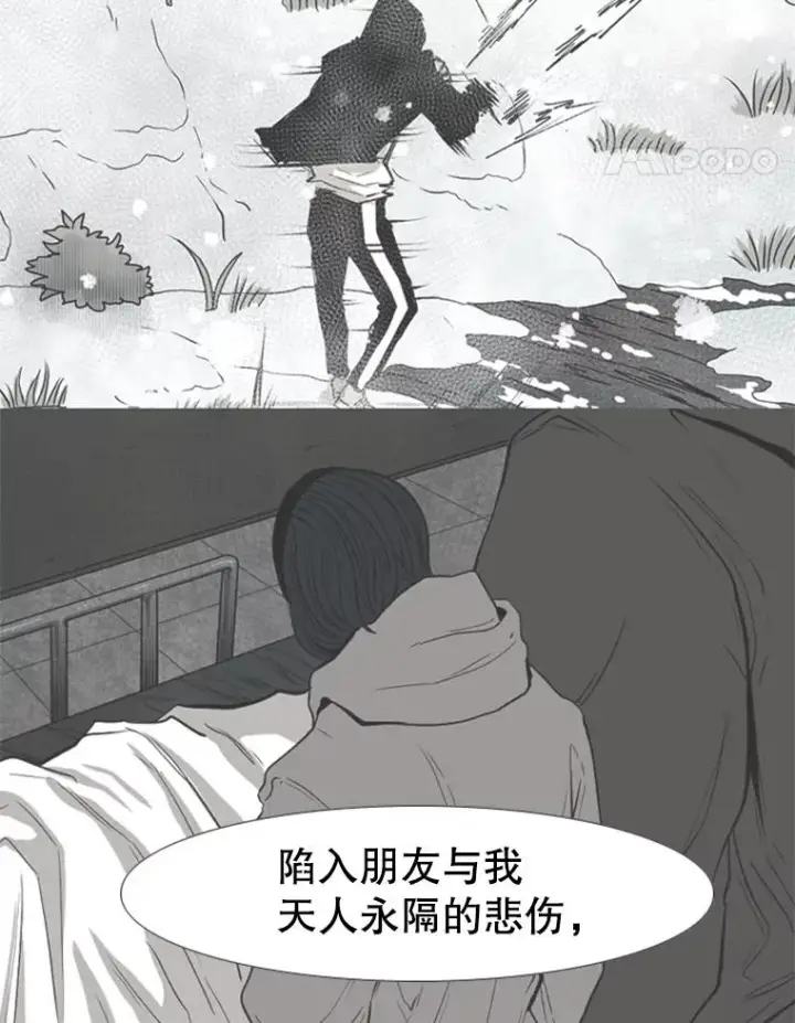《鲨鱼》218.不忘初心图122
