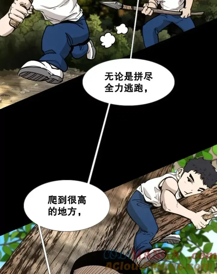 《鲨鱼》221.短剑和长矛图53