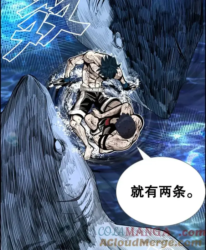 《鲨鱼》222.暴风雨前的宁静图113