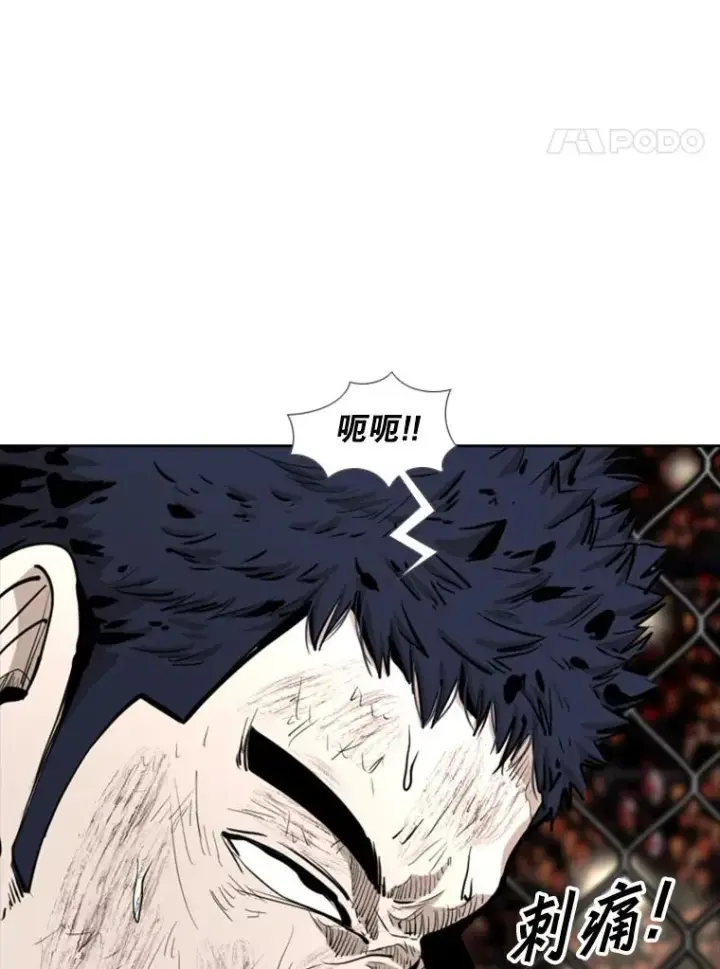 《鲨鱼》222.暴风雨前的宁静图4