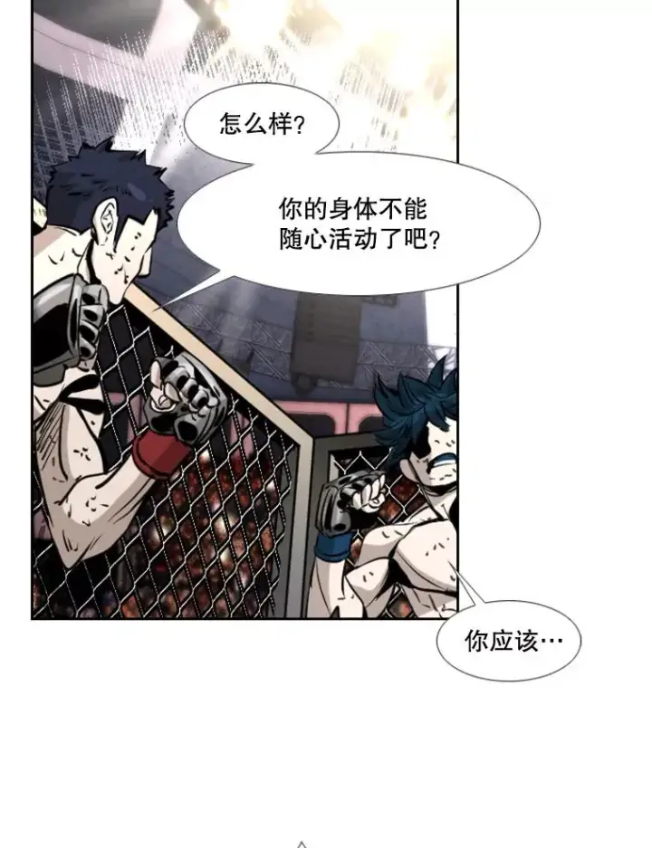 《鲨鱼》223.两条鲨鱼图112