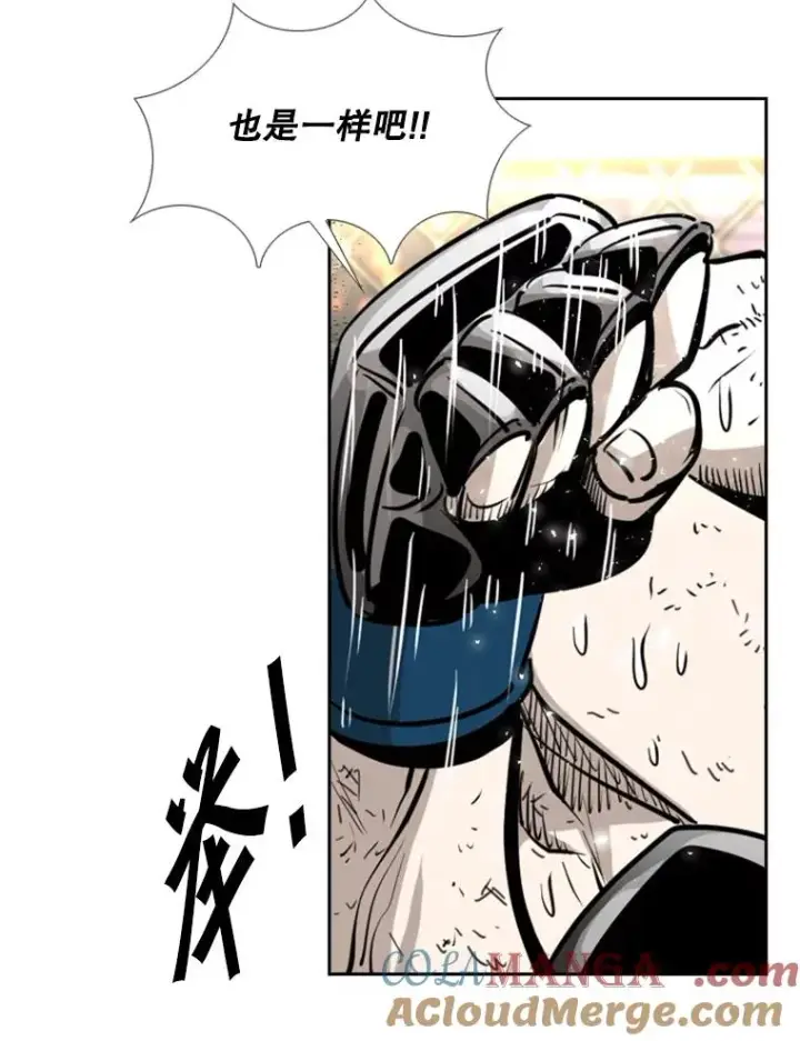 《鲨鱼》223.两条鲨鱼图113