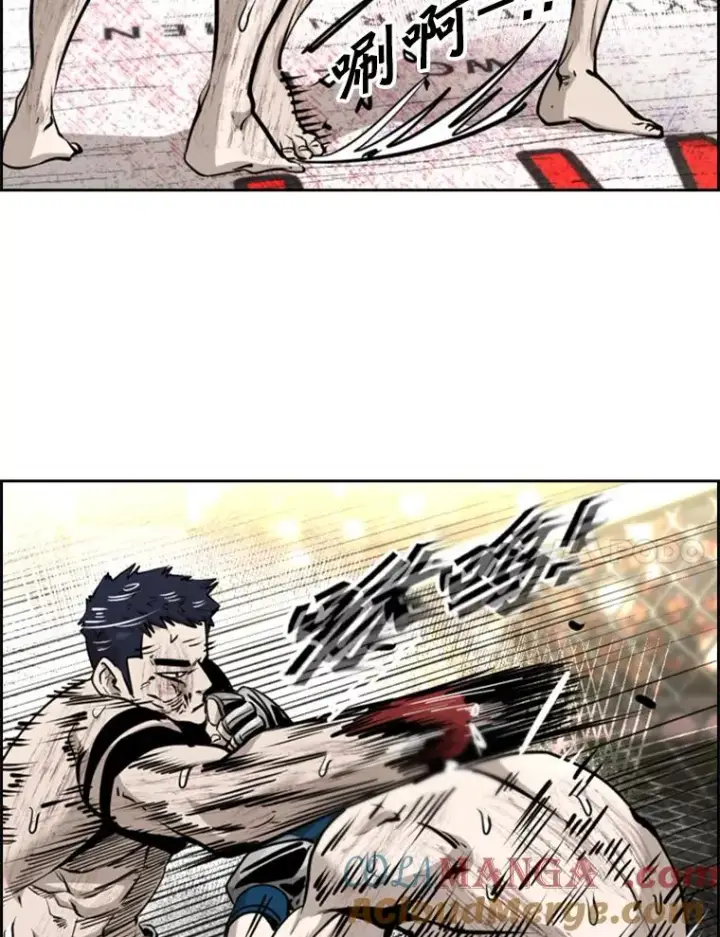 《鲨鱼》223.两条鲨鱼图117