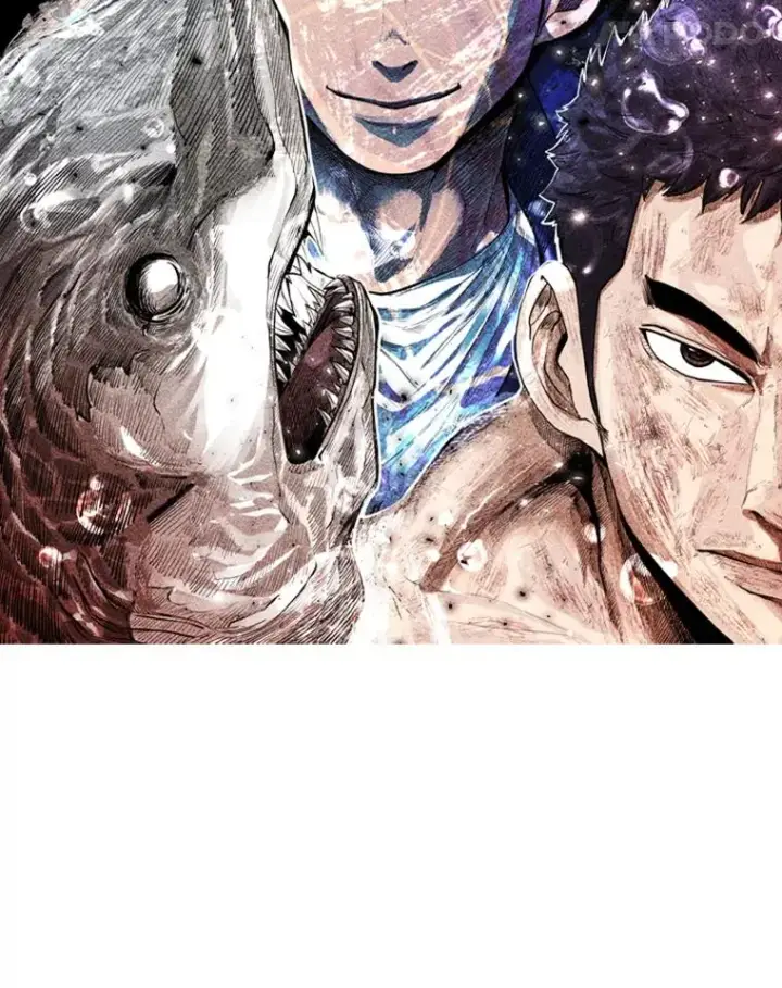 《鲨鱼》223.两条鲨鱼图12
