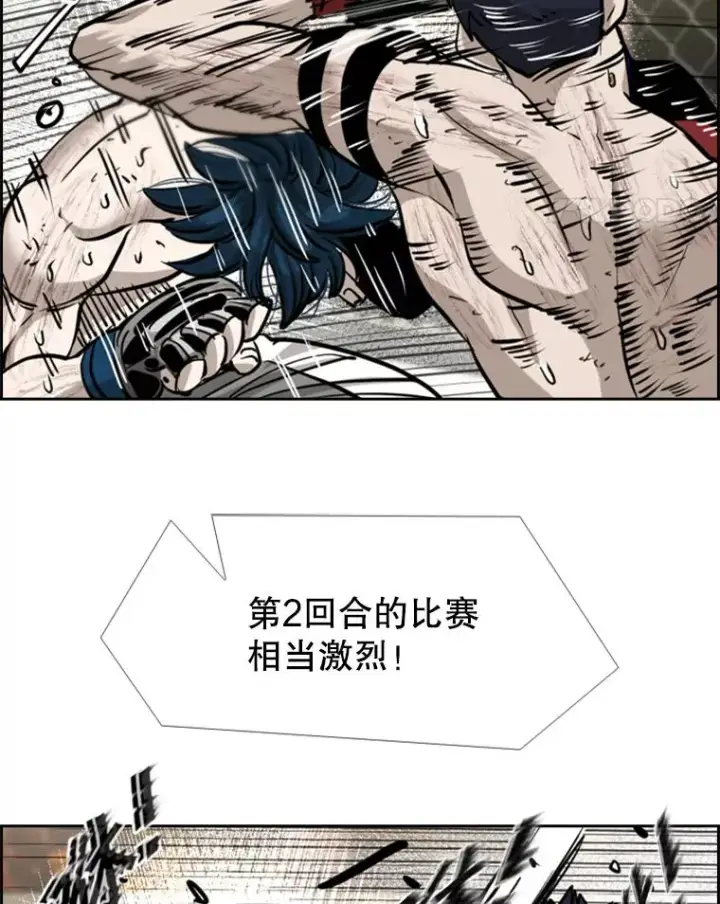 《鲨鱼》223.两条鲨鱼图124