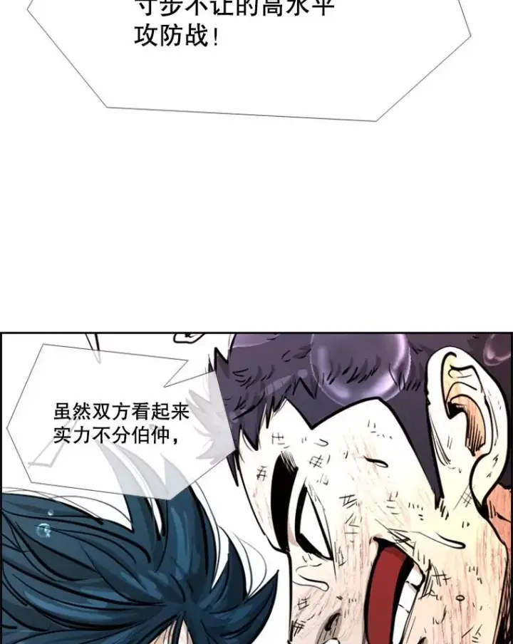 《鲨鱼》223.两条鲨鱼图126