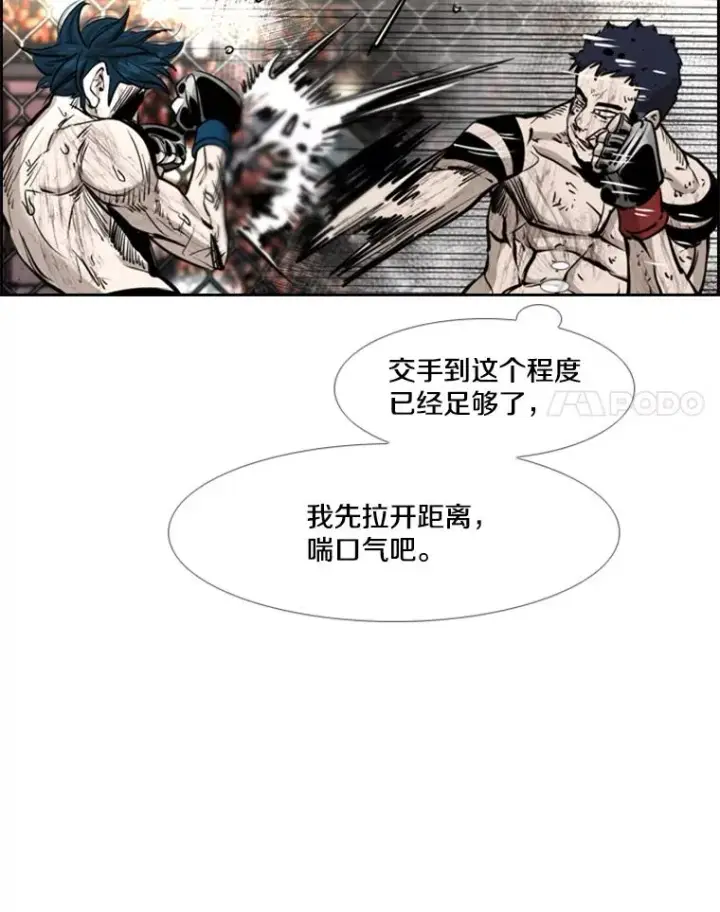 《鲨鱼》223.两条鲨鱼图134