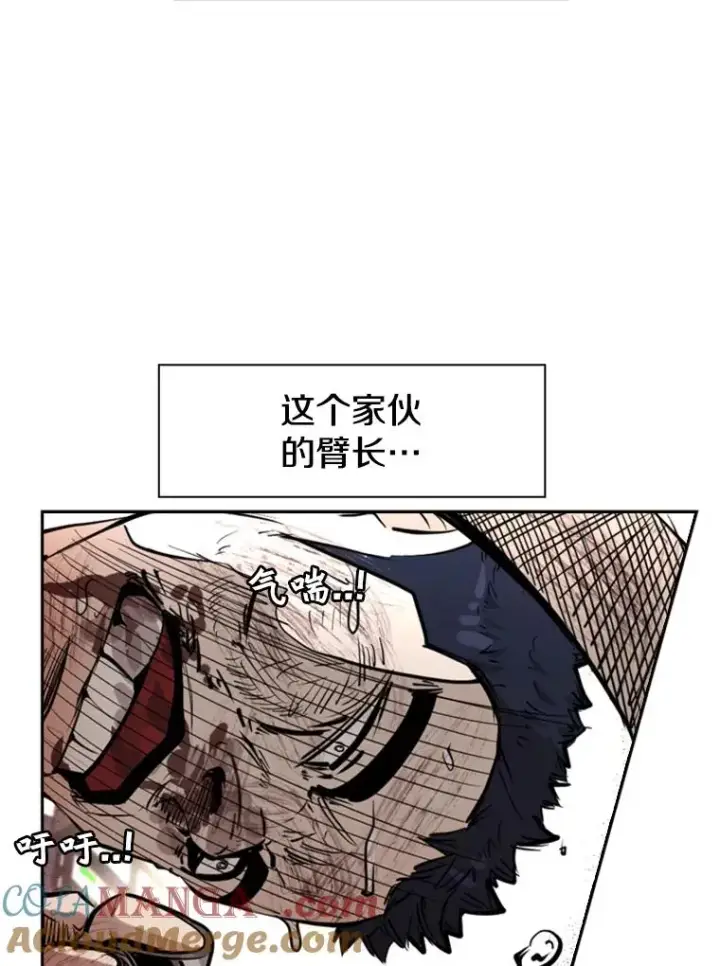 《鲨鱼》223.两条鲨鱼图141