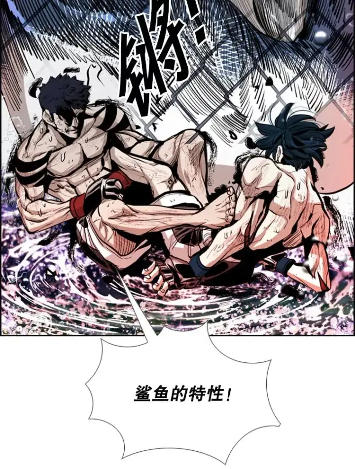 《鲨鱼》223.两条鲨鱼图16