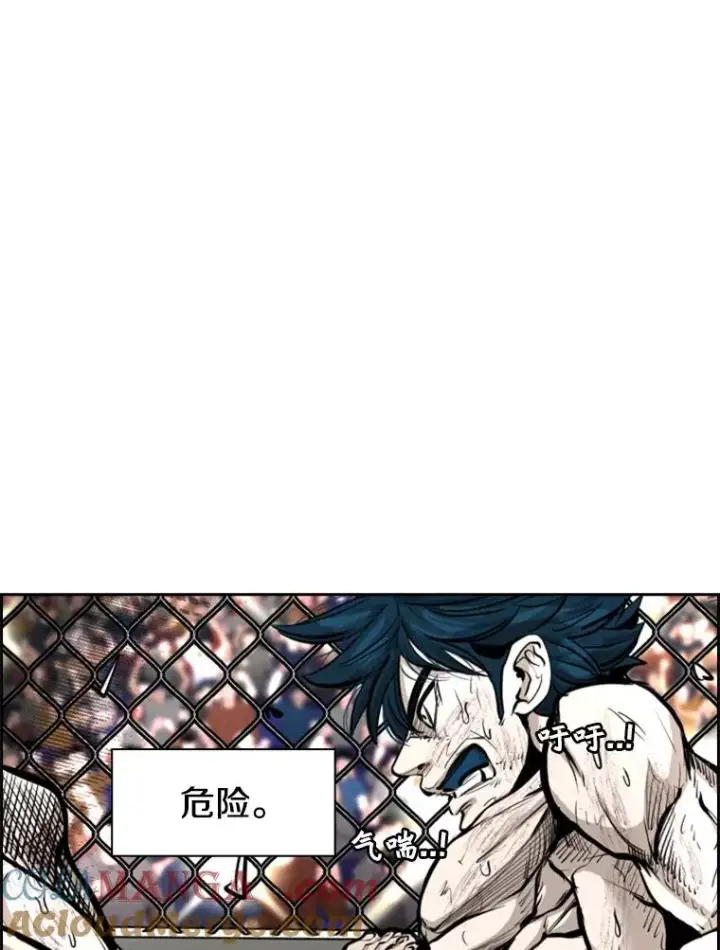 《鲨鱼》223.两条鲨鱼图17
