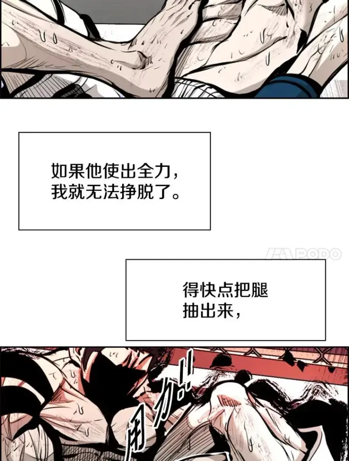 《鲨鱼》223.两条鲨鱼图18