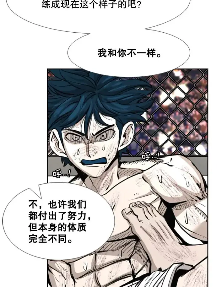 《鲨鱼》223.两条鲨鱼图23