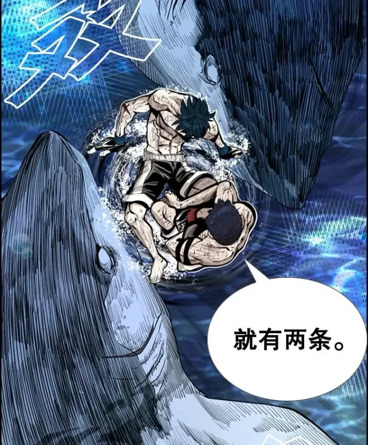 《鲨鱼》223.两条鲨鱼图3