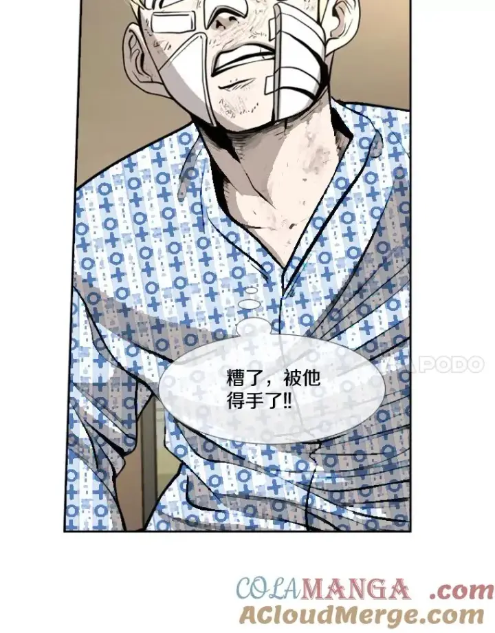 《鲨鱼》223.两条鲨鱼图41