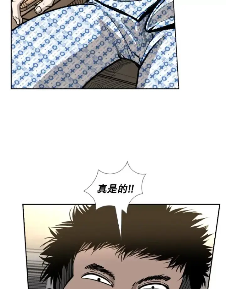 《鲨鱼》223.两条鲨鱼图43