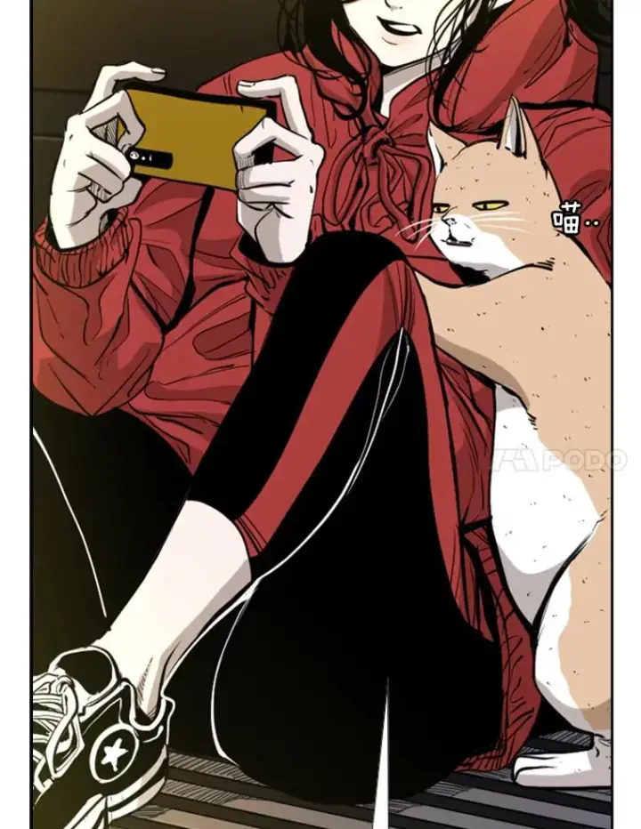 《鲨鱼》223.两条鲨鱼图51