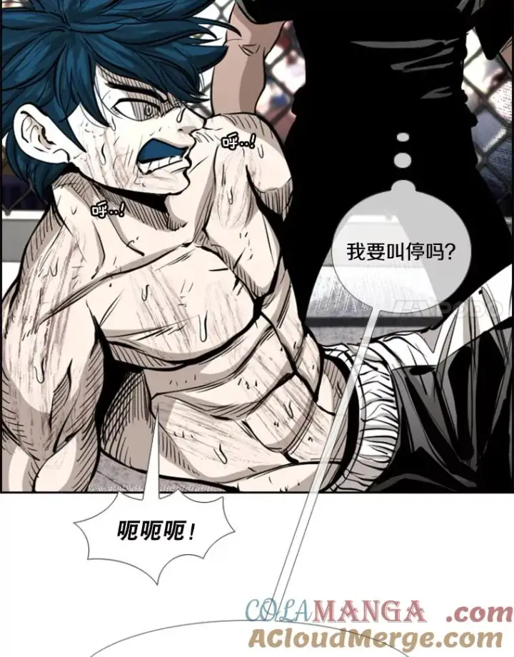 《鲨鱼》223.两条鲨鱼图61