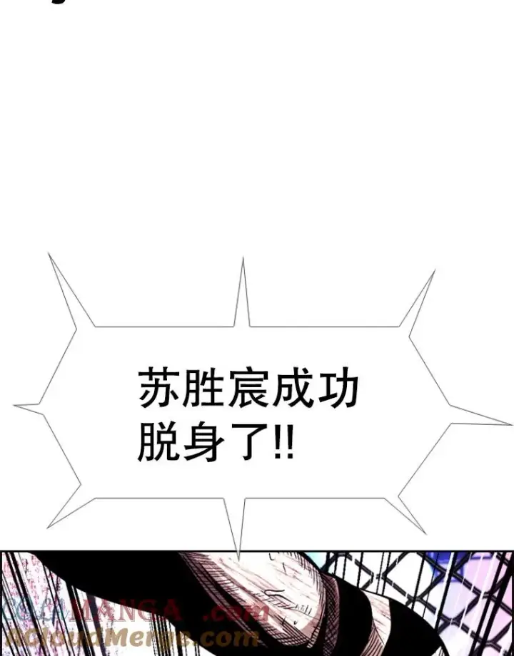 《鲨鱼》223.两条鲨鱼图69